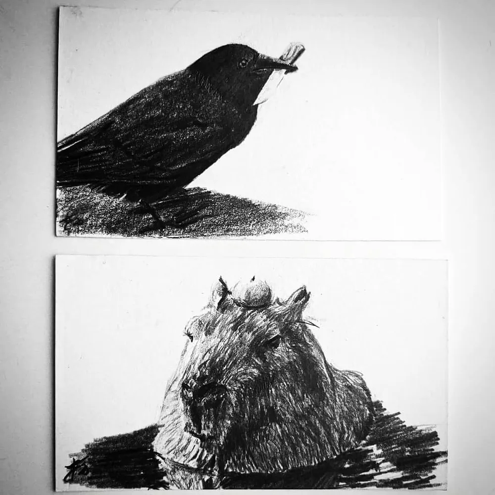two small graphite drawings, a crow perched above and a capybara at the waterline below