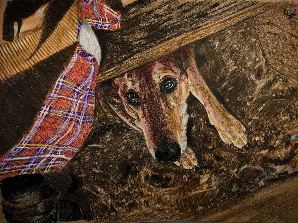 two slender hounds resting together on a plaid blanket
