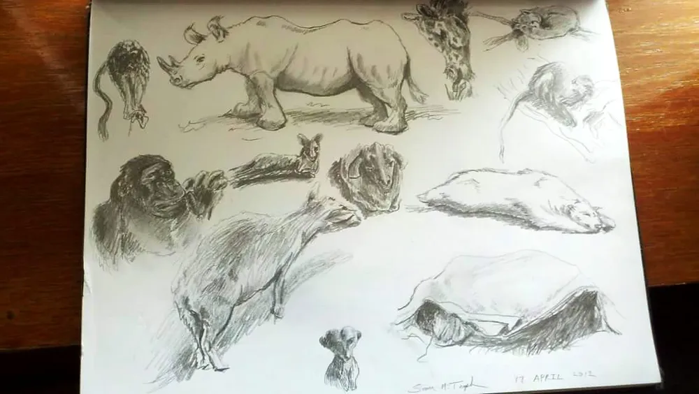 a sketchbook page of animal studies: rhino, giraffe, gorilla, and more