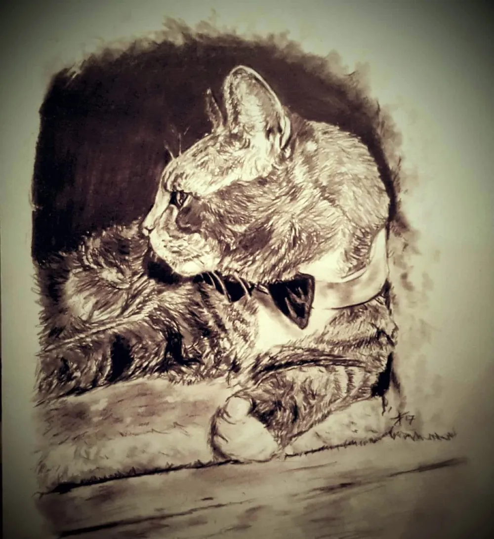 a tabby cat wearing a bow tie