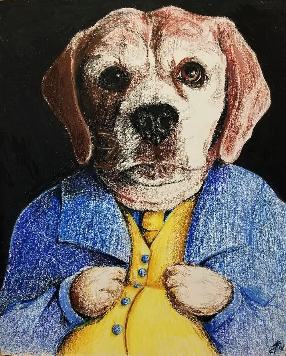 a beagle in a blue jacket and buttoned yellow waistcoat