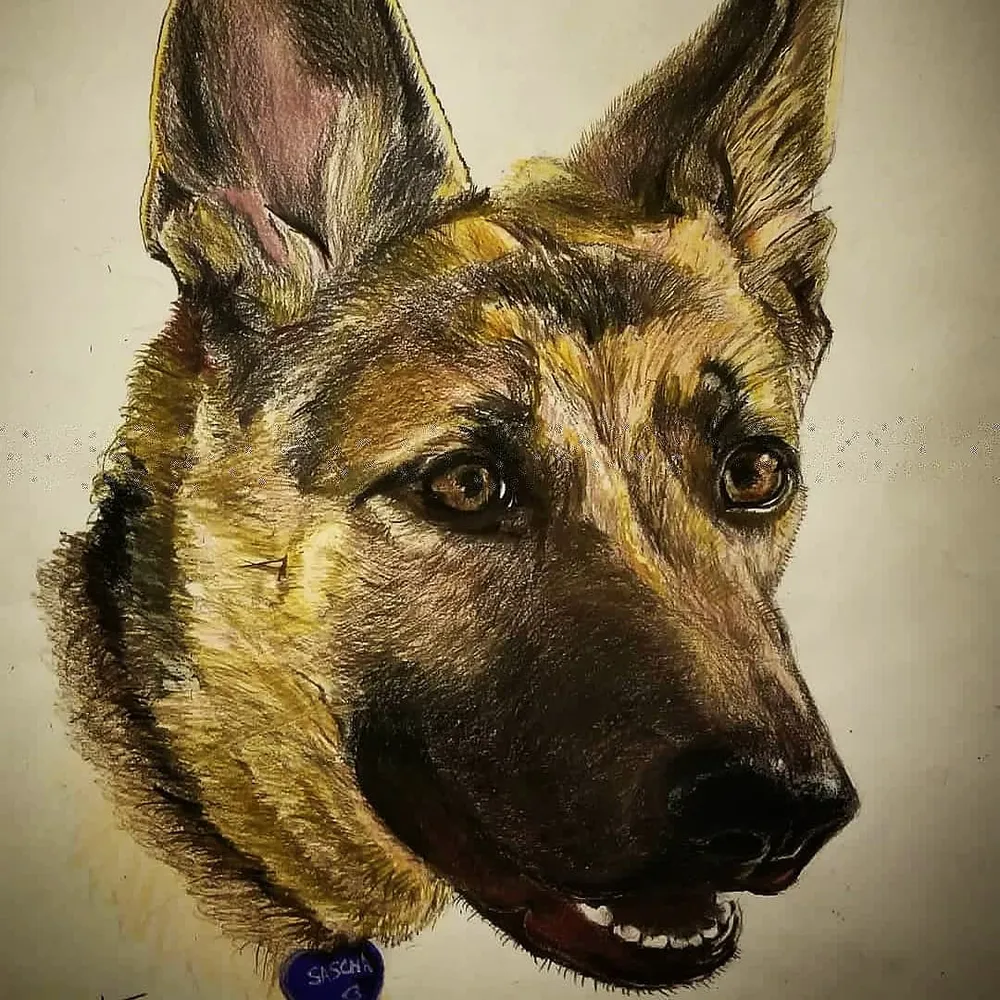 a German shepherd's head in profile, mouth open, wearing a collar tag