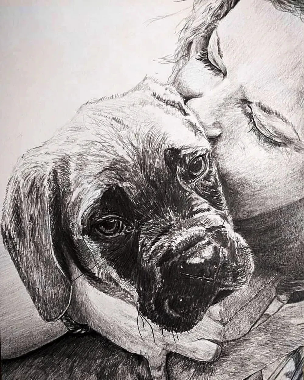 a boxer dog's head in graphite, with a lightly sketched human figure behind it